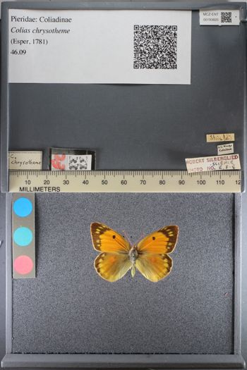 Media type: image;   Entomology 193820